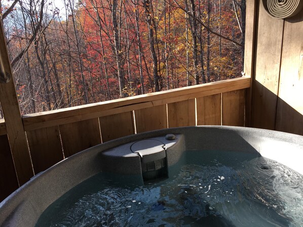 Hot Tub with Privacy and a View