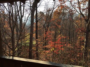 Late Fall view from porch