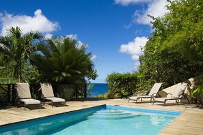  41 foot Salt water pool with great views of the ocean
