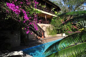 Pool and garden