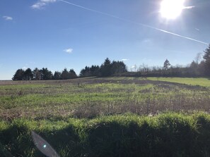 The view from the road into the hamlet