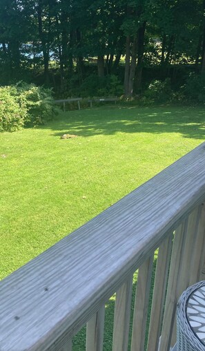 Access to the water just steps from the deck.