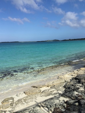 Shoreline in front of Sundancer