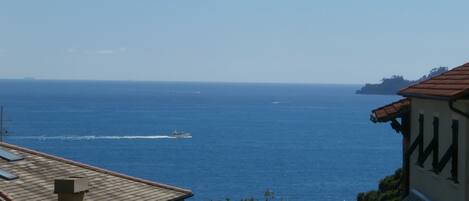 Vista para praia/oceano