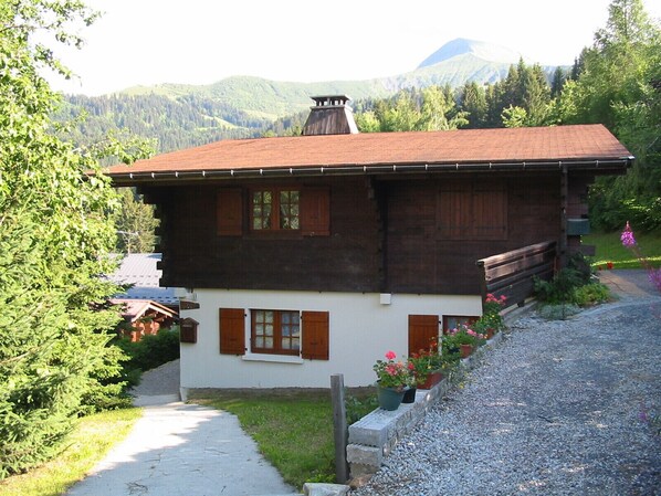 Exteriör