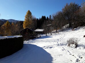 Chalet garden