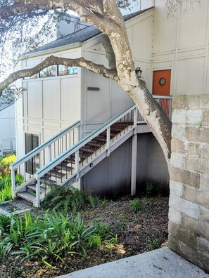 Exterior - Staircase to Entrance