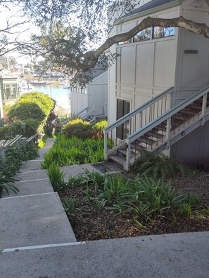 Steps from Driveway to Base of Stairway