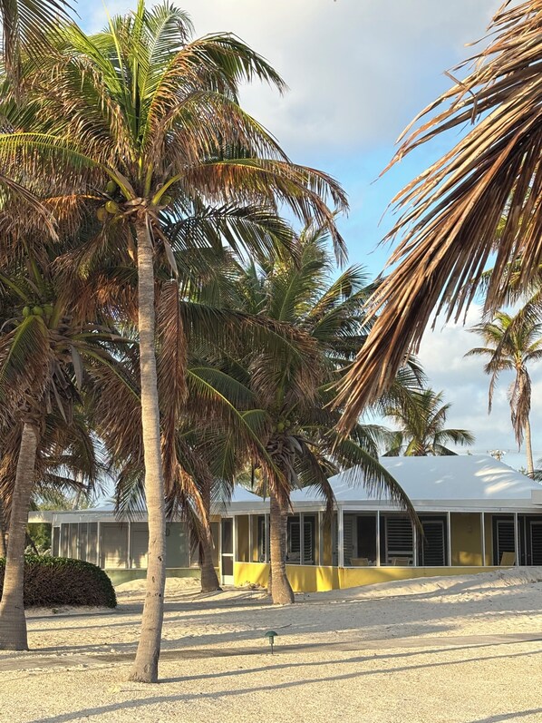View of the bungalow from the beach. Ours is the yellow one.