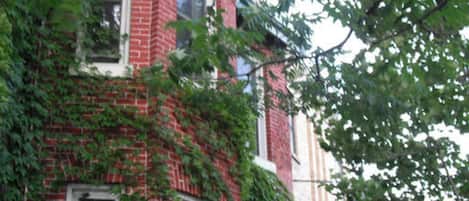 Ivy is gone now but this is what the front of the house looks like.