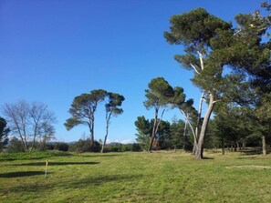 Jardín, parque