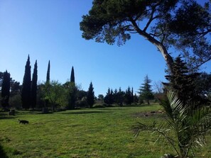 Jardín, parque