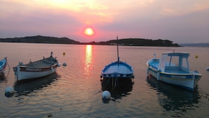 Lagune du Brusc