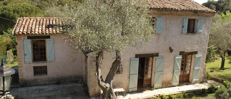 Traditional provencal villa set in a 200 yr old olive grove