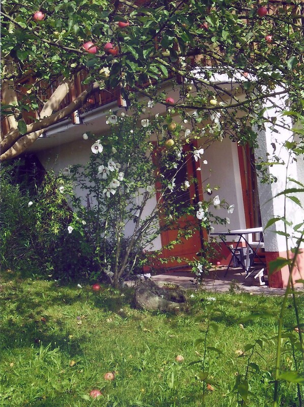 Terrass/Patio