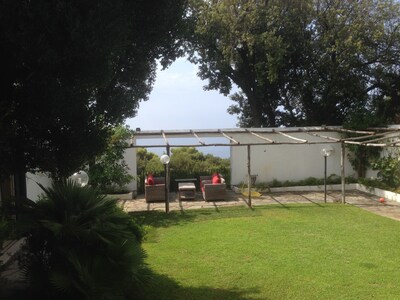 Picture of villa