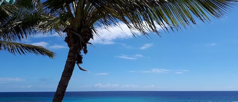 Plage,  soleil, sable de corail, mer turquoise et cocotiers ...que du bonheur ! 