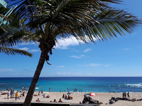 Plage, soleil, sable de corail, mer turquoise et cocotiers ...que du bonheur !