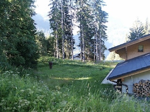 Terrain plat à coté du bois