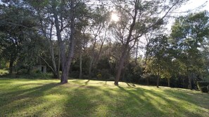 Property grounds