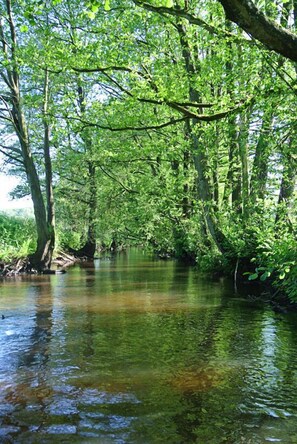 Baden in der Osterau: jederzeit möglich, 500 m bis zur Badestelle