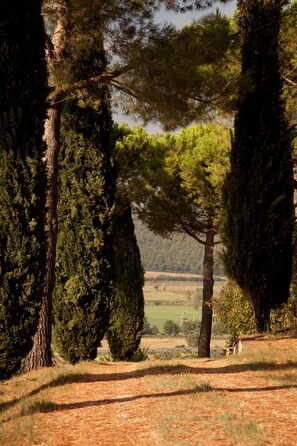 Jardines del alojamiento