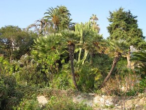 Giardino, parco