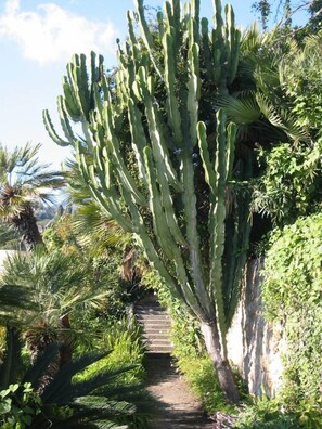 Garden, Park