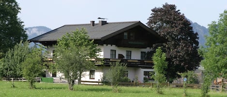 The house in summer