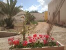 jardin - parking