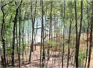 View of  Lake from the Main Family Room
