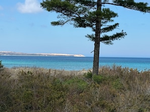 View to the dunes off the deck