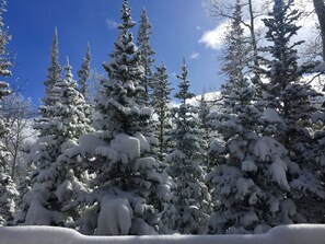 View from deck-November 2019