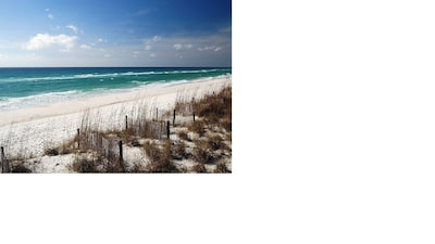 Great time to drive down to the beach! Great condo! Read our reviews. 
