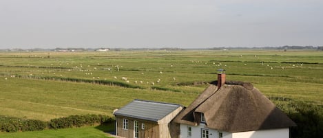 Urlaub mit Weitblick - das Seegut in Westerhever