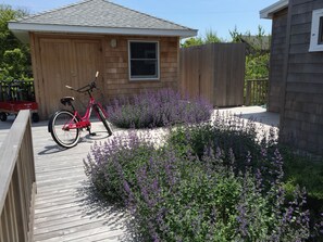 Shed, center, contains washer and dryer. Outdoor shower to right.