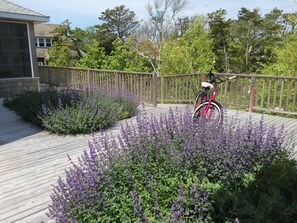 Deck garden, porch and entrance ramp at left. Bikes are included in rental.