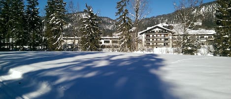 Enceinte de l’hébergement