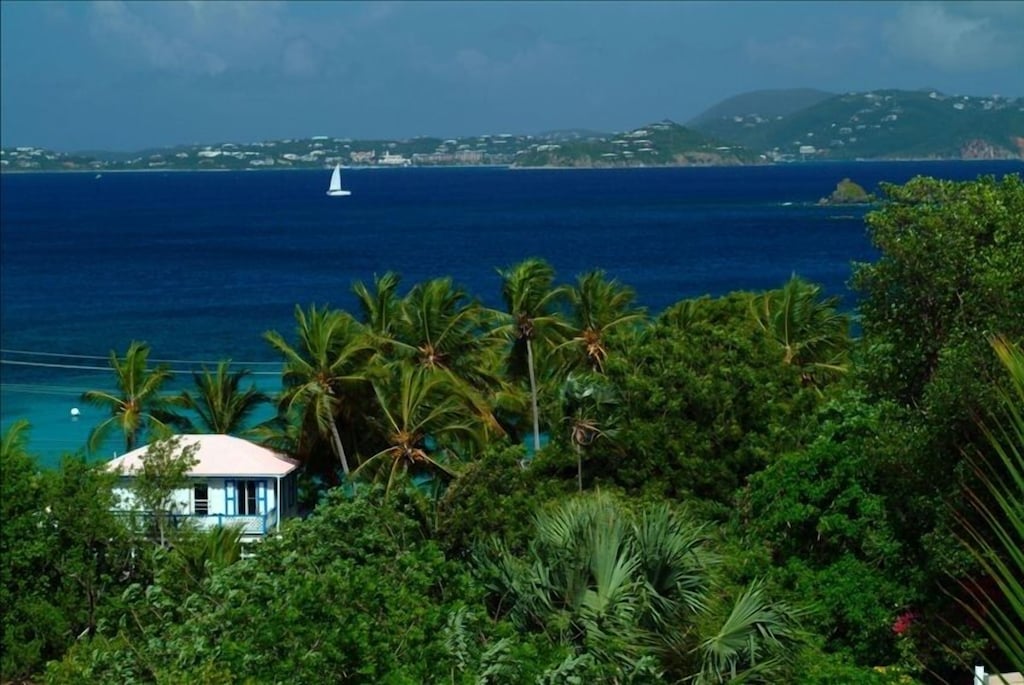 Bougainvillea/Palm Terrace - Luxury Condo Walk to Town
