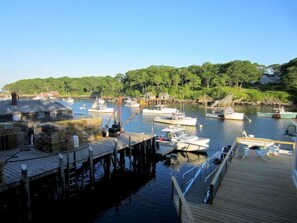 Marina
