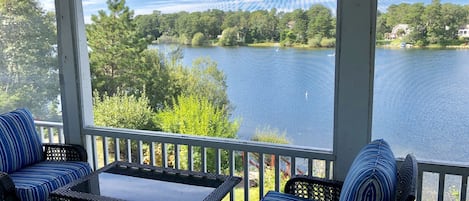 View from the screened porch