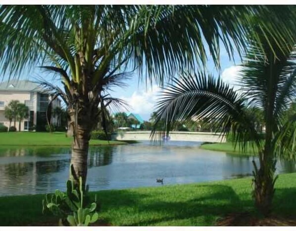 A view of the lake near the Villa