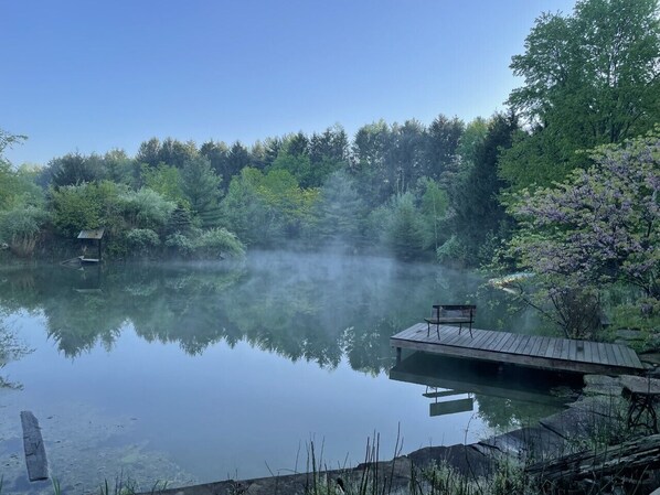 Pond