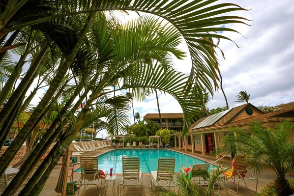 Pool - Imagine yourself sitting on the lounge chair soaking up the sun