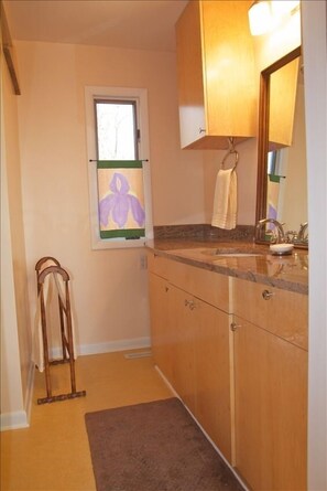 The master bathroom has a long countertop and a walk-in shower.