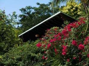 The Treehouse I is nestled in the treeline overlooking the Pitons and the ocean.
