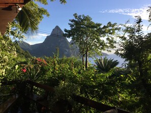 The views from the open air deck of the Treehouse will amaze you every day!