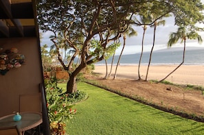 Morning in Maui