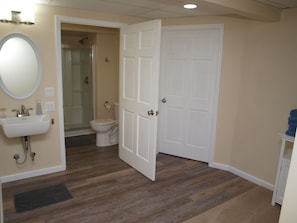 Lower Level Bathroom (3 of 3)