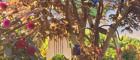 Beautiful Fall Day